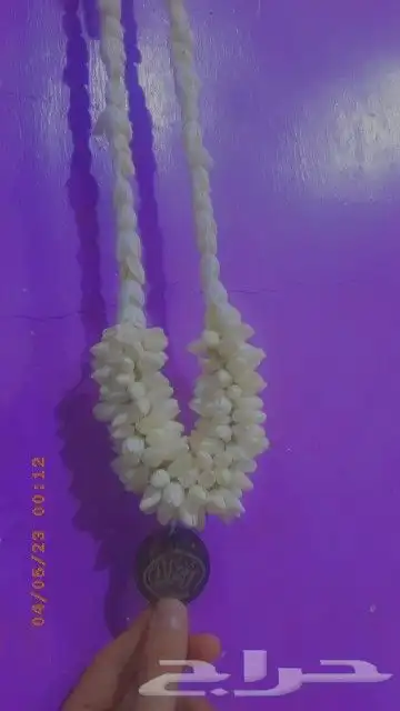 محل للبيع الفل في الرياض متوفر جمله ومفرد 6