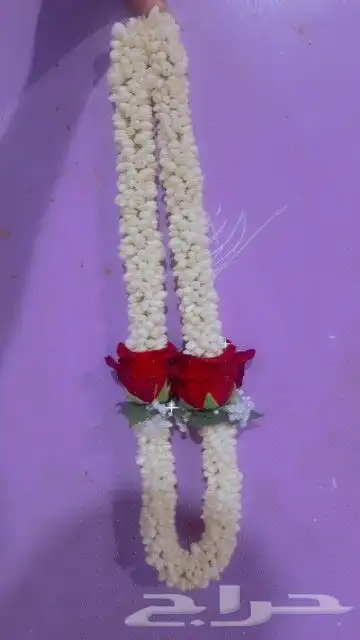 محل للبيع الفل في الرياض متوفر جمله ومفرد 9