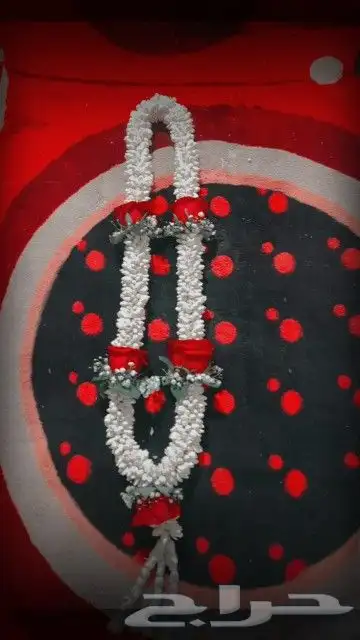 محل للبيع الفل في الرياض متوفر جمله ومفرد 8