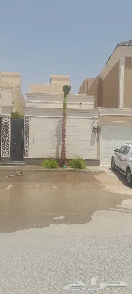 رضا ازبون يزيدك نجاح دقه في الشغل وإنجاز 1