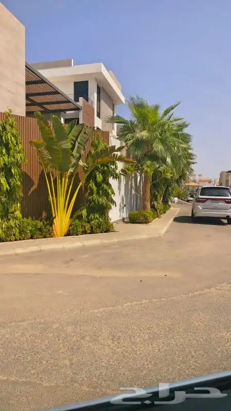 مشتل اليسر لتنسيق الحدائق وزراعه جميع انواع نخيل وأشجار 5