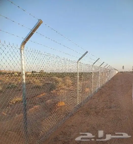 توريد جميع انواع النخل واعمال الشبوك 7