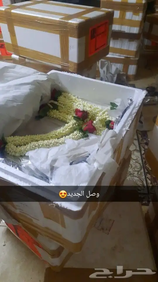 محل للبيع الفل في الرياض متوفر جمله ومفرد 2