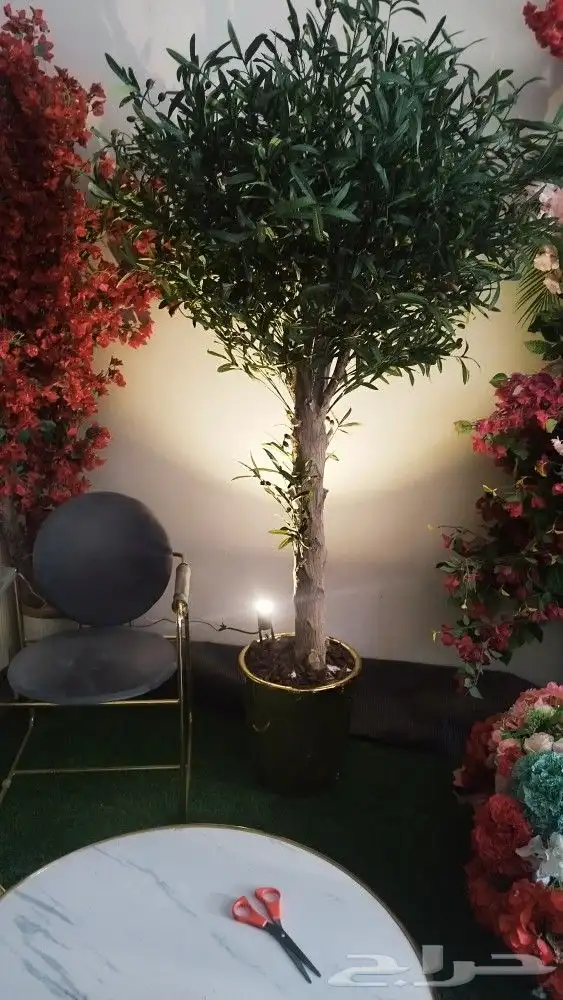 اشجار زيتون صناعي بسعار منافسه 9