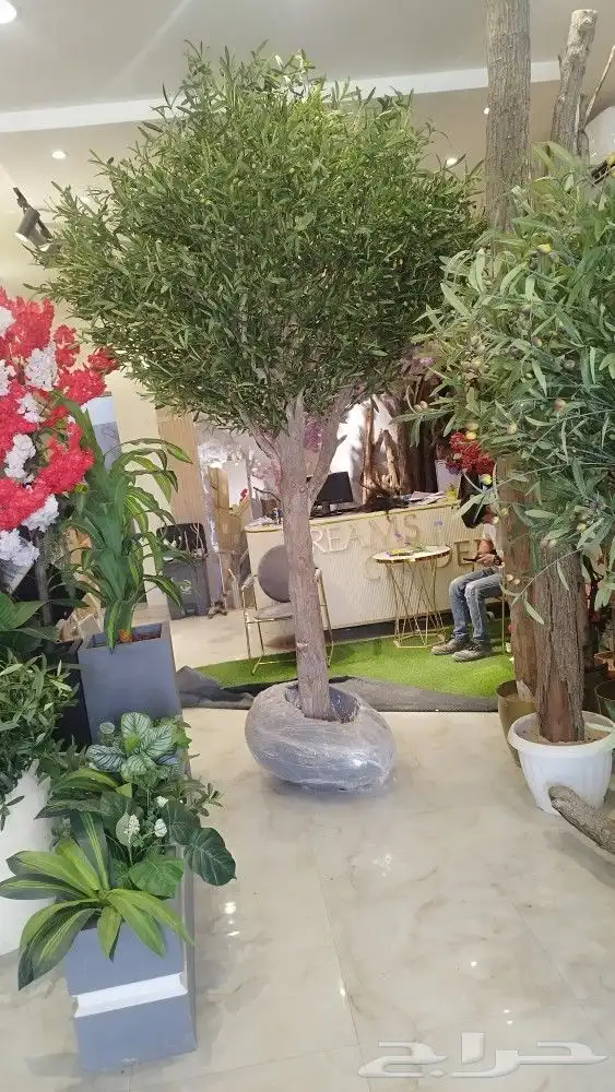 اشجار زيتون صناعي بسعار منافسه 4