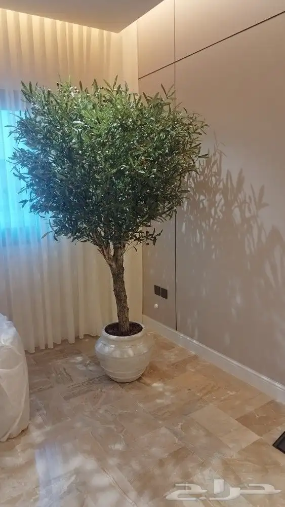 اشجار زيتون صناعي بسعار منافسه 0