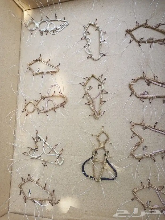 شبك لصيد الصقور 1