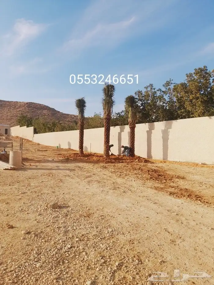 رضا ازبون يزيدك نجاح دقه في الشغل وإنجاز 7