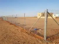 شبوك نخيل 8