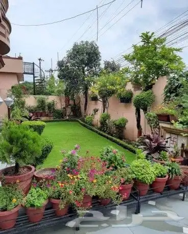 ايش بديكورات مظلات شلالات عيش بارضي 25 ريال عيش بجداري جميع 5