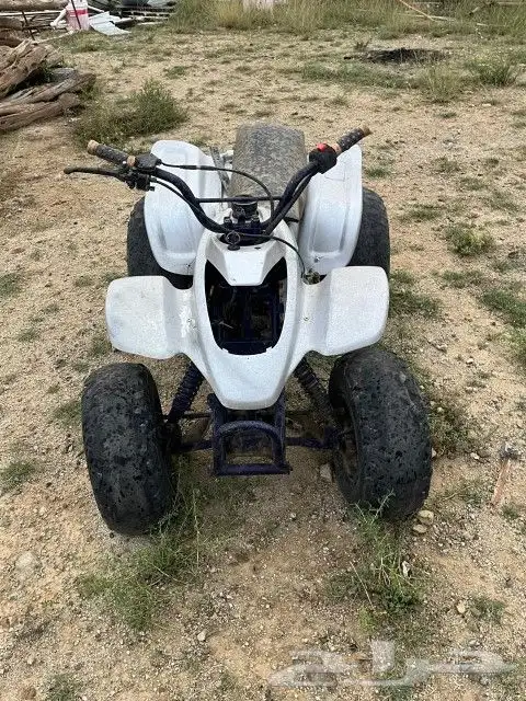 دباب تايون 0