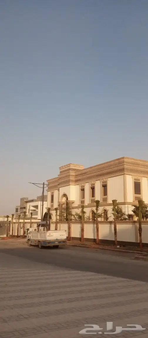 نخل واشنطن من متر الى 9متر 2