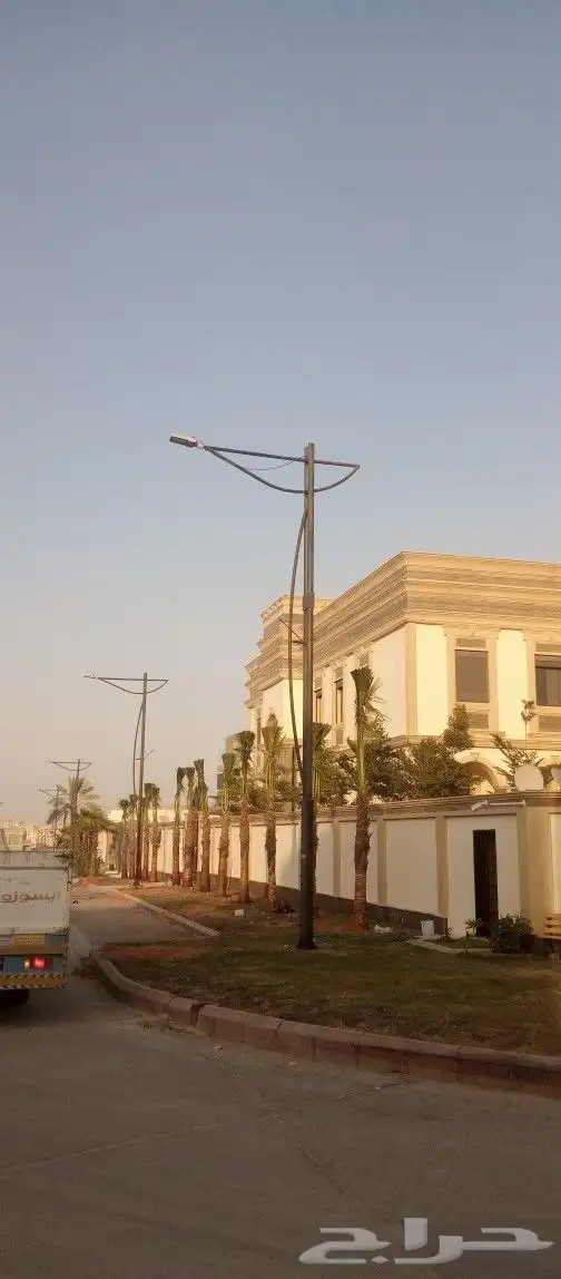 نخل واشنطن من متر الى 9متر 1