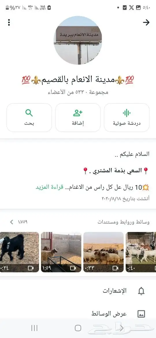 للبيع ابل واغنام وماعز واعلاف . 0