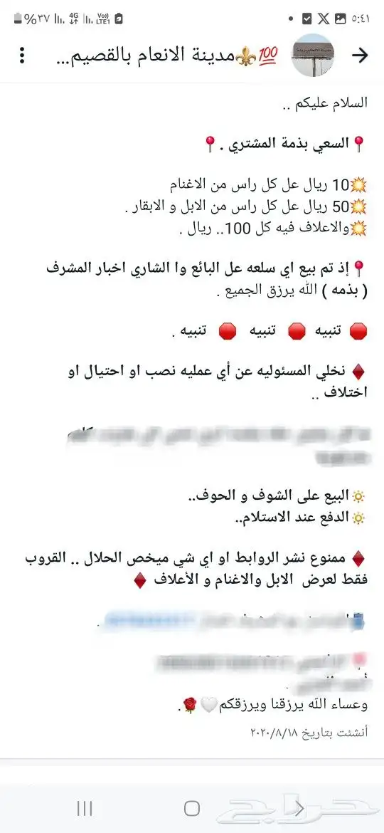 للبيع ابل واغنام وماعز واعلاف . 9