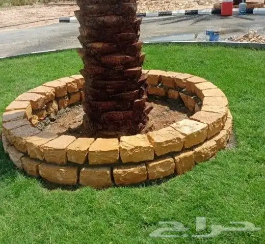 اعمال الحجر والتراث و توريد النخيل وصيانته 5