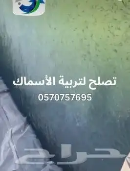 بلاستيك احواض زراعية تجميع مياه اسماك بيوت محمية 7
