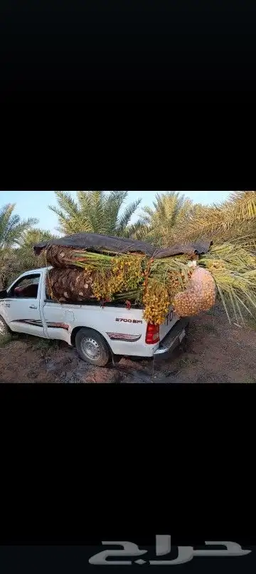 يوجد لدينا جميع انواع انخيل 5