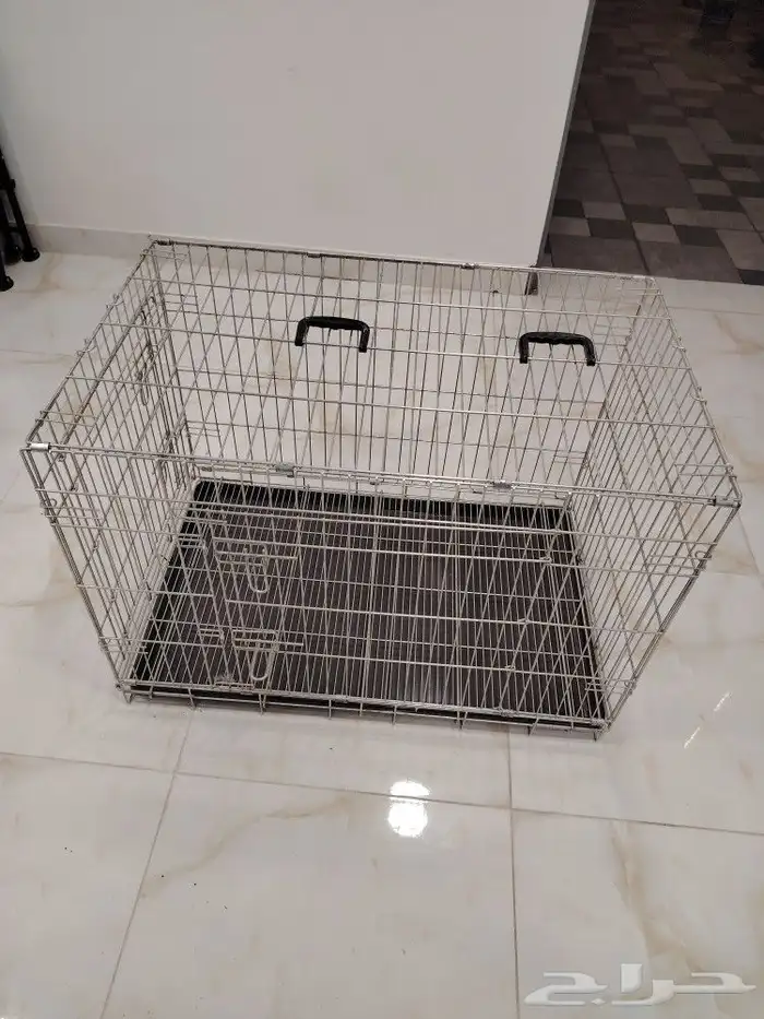 شبك طيور يتسفط 1