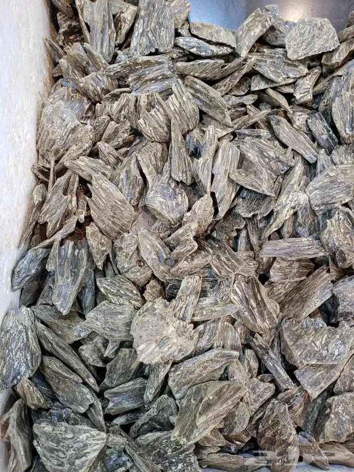 عود كلمنتان دبل سوبر درجه اولا توصيل لاي منطه السعر 2000ريال 0