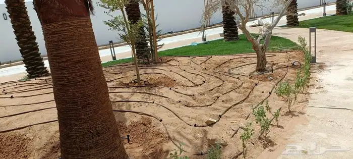 مهندس أبو سجي لجميع أعمال الزراعة 3
