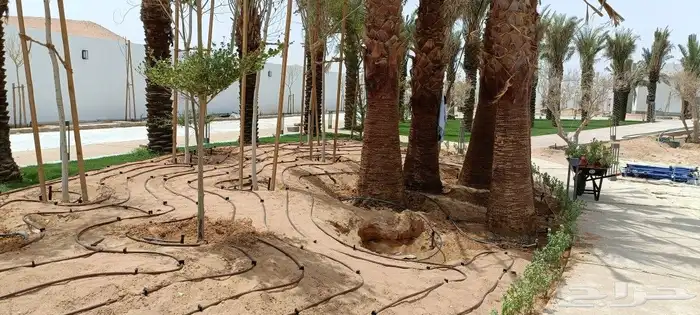 مهندس أبو سجي لجميع أعمال الزراعة 4