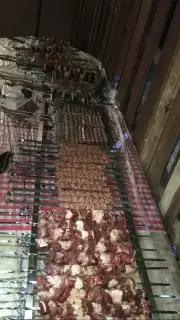 معلم مشاوي خارجي مشويات خارجي الدمام والخبر 15