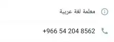 معلمة لغة عربية اونلاين 0