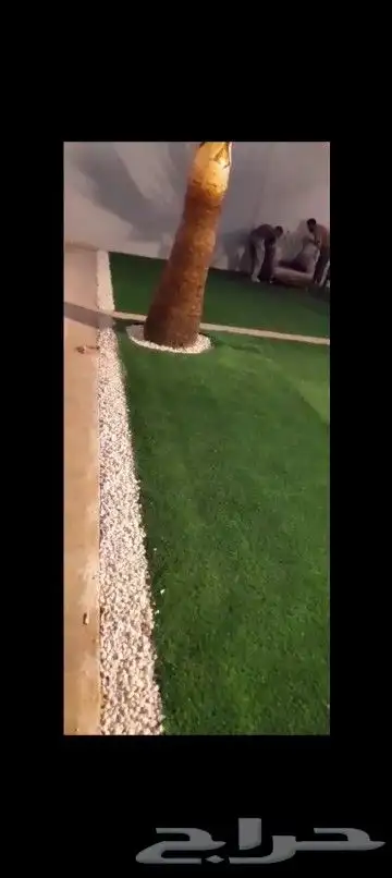 تنسيق حدائق 0