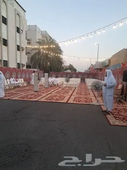 تأجير كنب مخمل -جلد -خيام-بيت شعر-كراسي شفاف -كرسي ذهبي 6