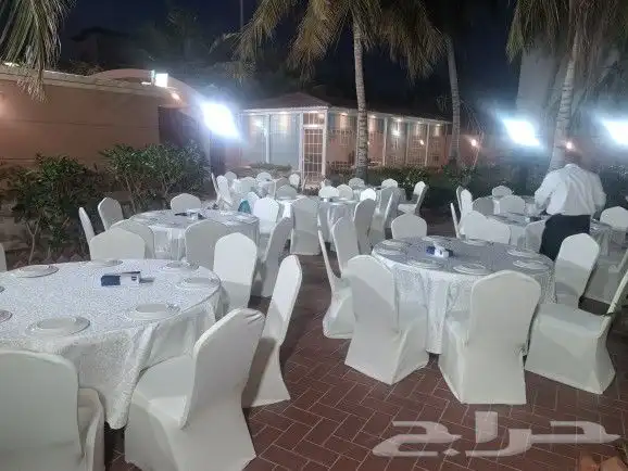 تأجير كنب مخمل -جلد -خيام-بيت شعر-كراسي شفاف -كرسي ذهبي 8