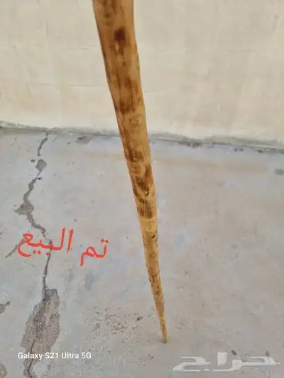 عصا من شجر اللوز تم البيع 1