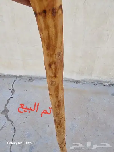 عصا من شجر اللوز تم البيع 2