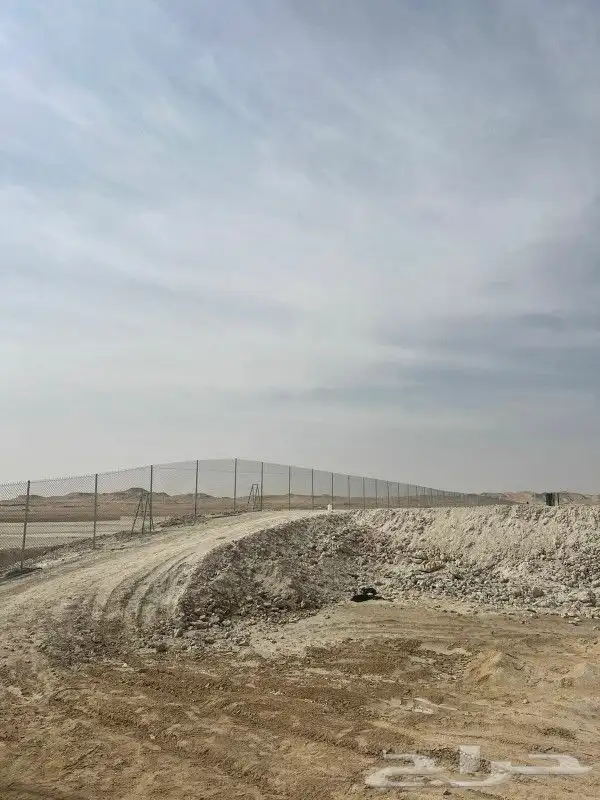 نقوم بجميع انواع اشبوك نقوم بجميع انواع انخيل عربي ووشنطن 8