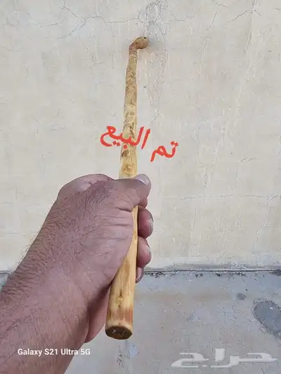 عصا من شجر اللوز تم البيع 10