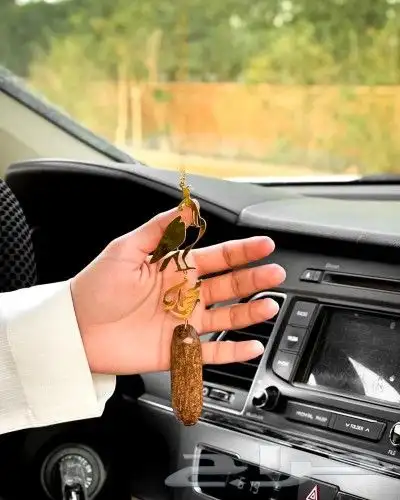 تعليقة سياره 1