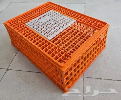 شبك دجاج أو حمام 1