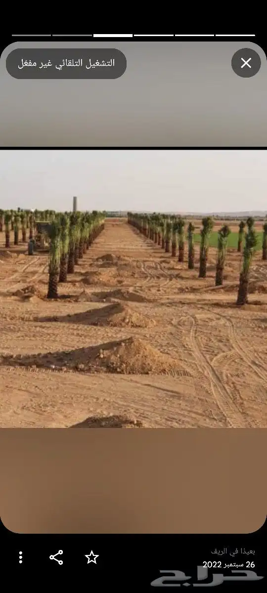 1-زرعه انخيل بجميع انوعه عربي ووشنطونياء مع صيانه وانظافه 2