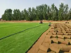 تنسيق حدائق شلالات نوفير مظلات ثيل طبيعي 13