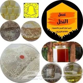 عسل بلدي ومستورد زيت زيتون سمسم نارجيل قهوة حناء ورق سدر 14