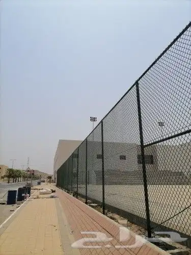 لتوريد النخل العربي والواشنطني والسياجات بجميع انواعها 2