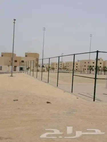 لتوريد النخل العربي والواشنطني والسياجات بجميع انواعها 3