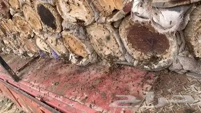 عسل بلدي ومستورد زيت زيتون سمسم نارجيل قهوة حناء ورق سدر 21