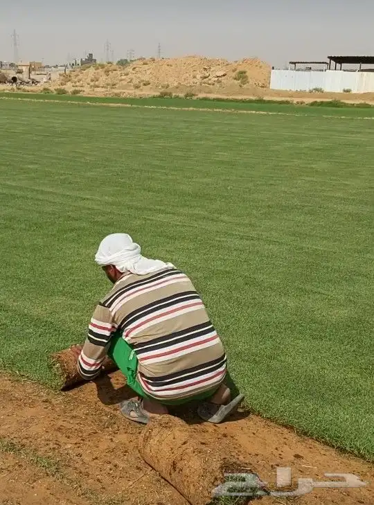 تنسيق حدائق شلالات نوفير مظلات ثيل طبيعي 17