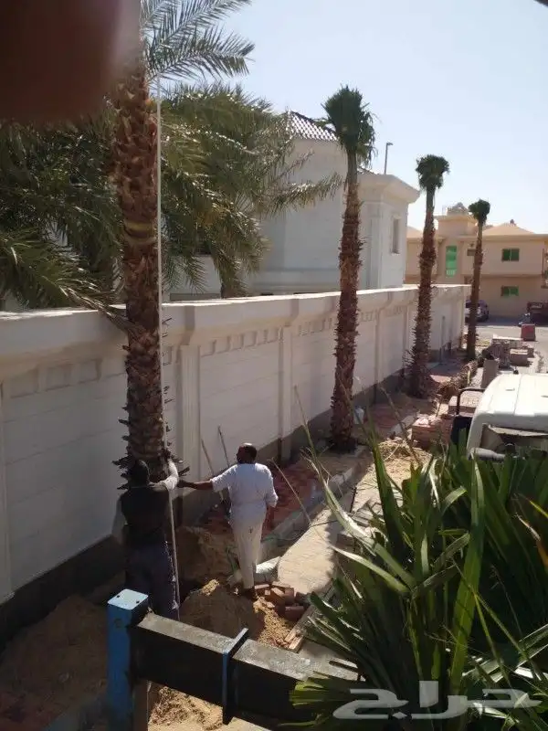 عرض 50  على الزراعه والنخيل وتنسيق اليوم الوطني السعود 2