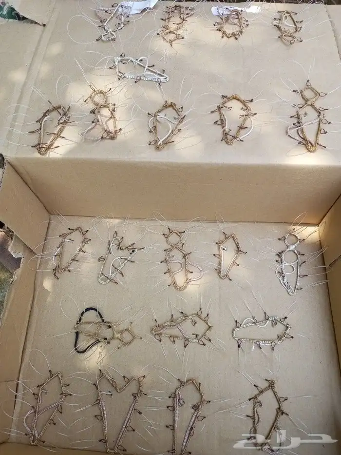 شبك لصيد الصقور 0