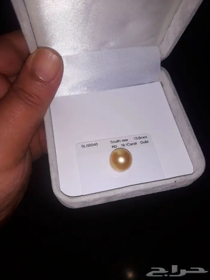 لؤلؤ ذهبي طبيعي 3