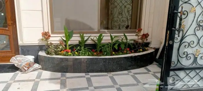 عرض 50  على الزراعه والنخيل وتنسيق اليوم الوطني السعود 7