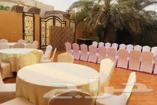 للايجار كنب اي بي كنب مفرد كنب ثلاثي كراسه طاولات 2