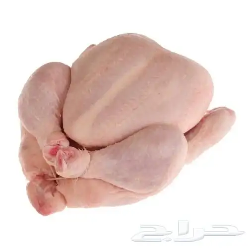 مندوب دجاج مبرد 0
